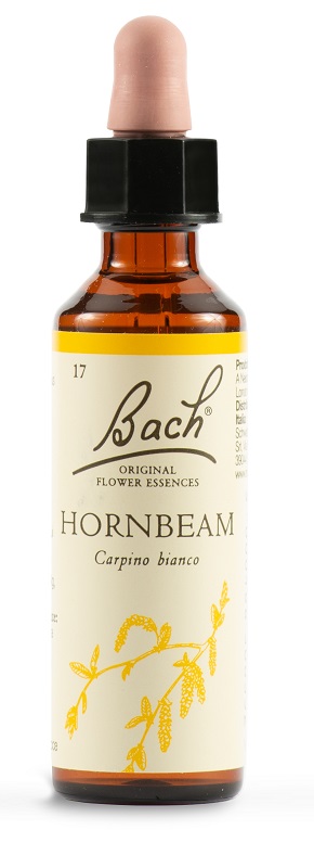 HORNBEAM BACH ORIG 20 ML - Farmadillo