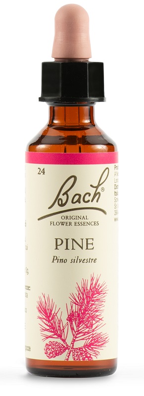 PINE BACH ORIG 20 ML - Farmadillo