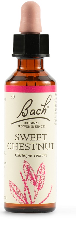 SWEET CHEST BACH ORIG 20 ML - Farmadillo