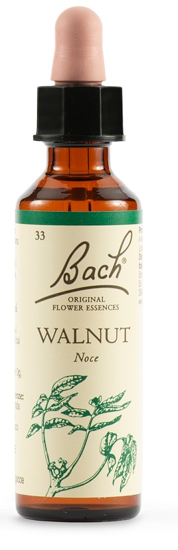 WALNUT BACH ORIG 20 ML - Farmadillo