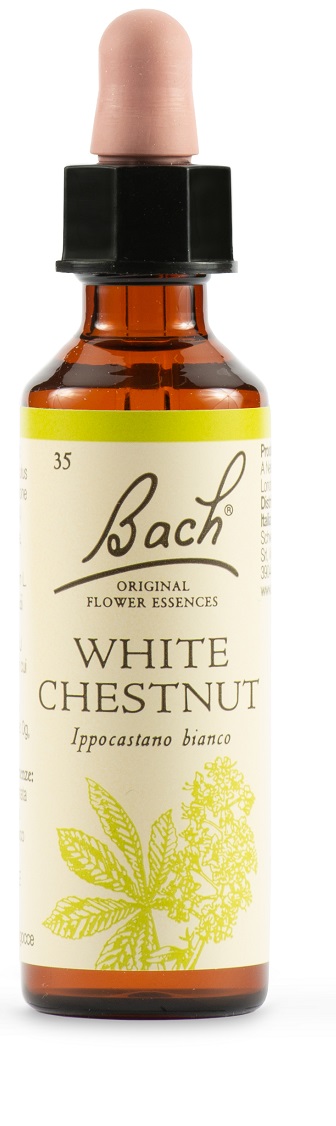 WHITE CHEST BACH ORIG 20 ML - Farmadillo