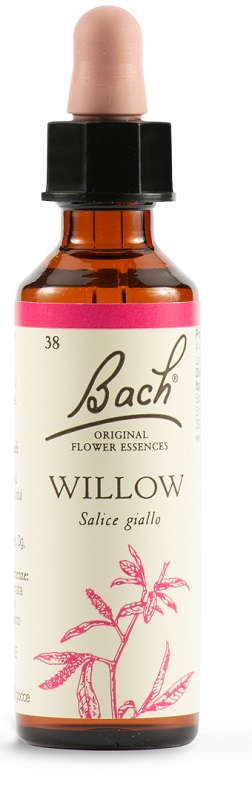 WILLOW BACH ORIG 20 ML - Farmadillo