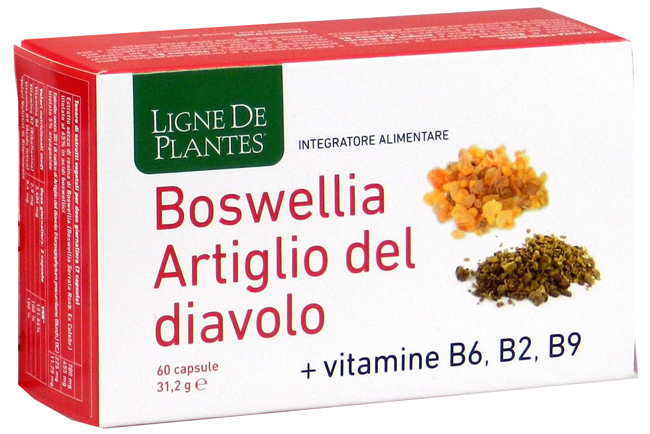BOSWELLIA ARTIGLIO DIAVOLO VITAMINE B2 B6 B9 60 CAPSULE - Farmadillo