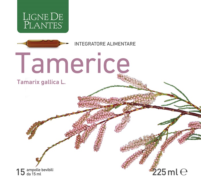 TAMERICE 15 AMPOLLE 15 ML - Farmadillo
