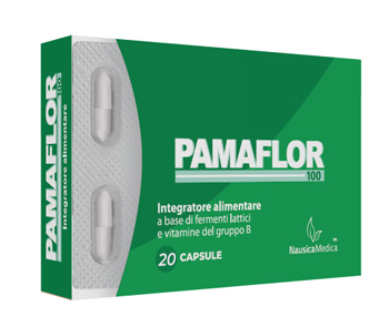 PAMAFLOR 100 20 CAPSULE - Farmadillo