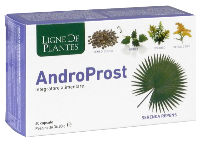ANDROPROST 60 CAPSULE - Farmadillo