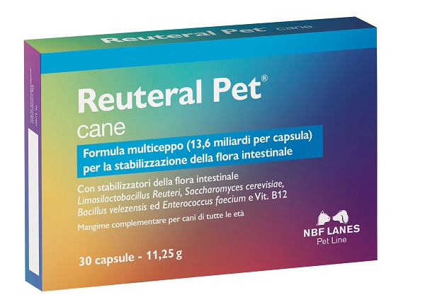 REUTERAL PET CANE 30 CAPSULE - Farmadillo