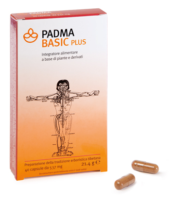 PADMA BASIC PLUS 40 CAPSULE - Farmadillo