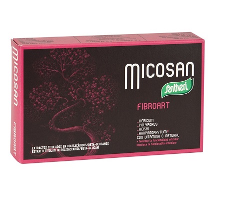 MICOXAN FIBROART 40 CAPSULE - Farmadillo