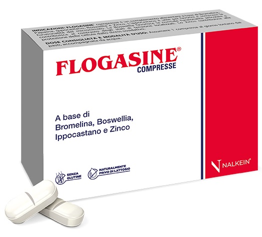 FLOGASINE 20 COMPRESSE - Farmadillo