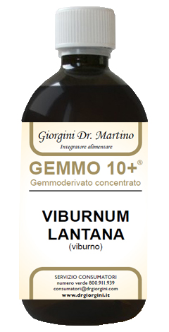 VIBURNO LIQUIDO ANALCOLICO GEMMO 10+ 500 ML - Farmadillo