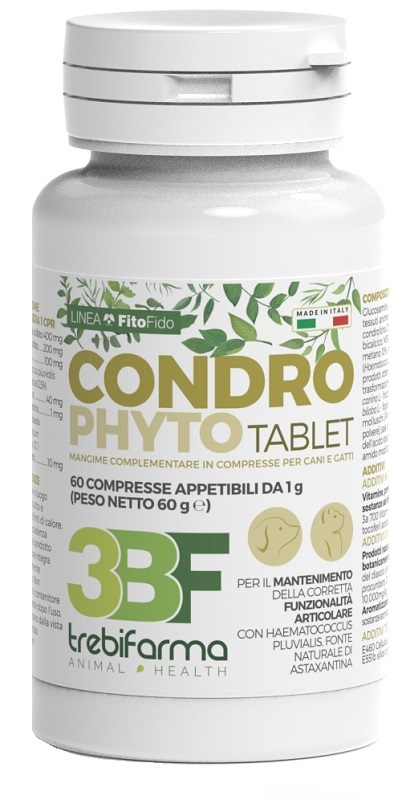 CONDROPHYTO 60 COMPRESSE DA 1 G - Farmadillo