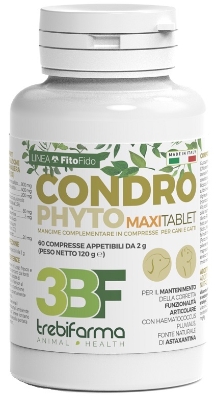 CONDROPHYTO 60 COMPRESSE 2 G - Farmadillo