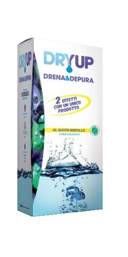 DRYUP MIRTILLO 300 ML - Farmadillo