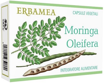 MORINGA OLEIFERA 24 CAPSULE - Farmadillo