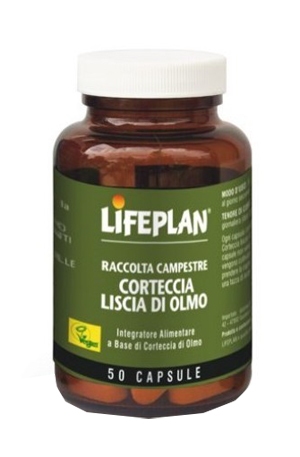 CORTECCIA LISCIA DI OLMO 50 CAPSULE - Farmadillo