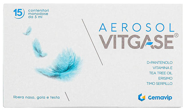 VITGASE AEROSOL 15 FLACONCINI 5 ML - Farmadillo