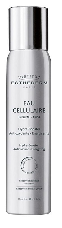 INSTI EAU CELLULAIRE BRUME 100 ML - Farmadillo