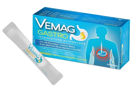 VEMAG GASTRO 20 STICK - Farmadillo