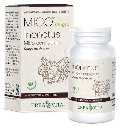 INONOTUS MICO INTEGRA 60 CAPSULE - Farmadillo