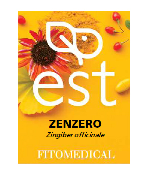 ZENZERO ESTRATTO SECCO 60 TAVOLETTE - Farmadillo