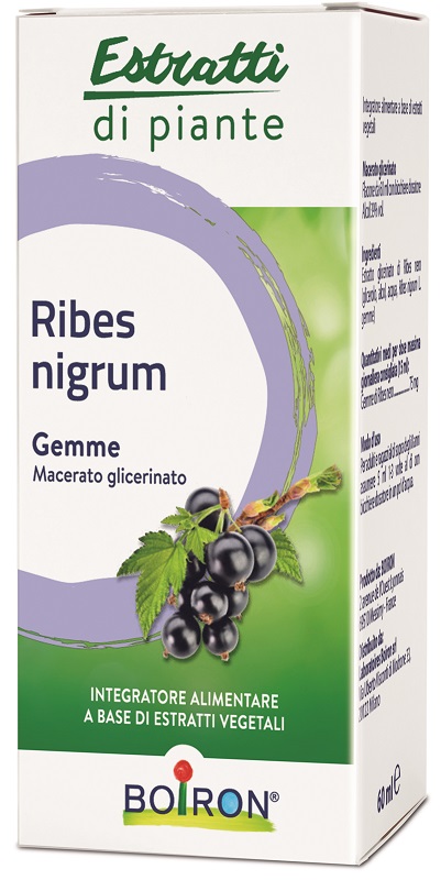RIBES NIGRUM BOIRON MACERATO GLICERICO 60 ML - Farmadillo