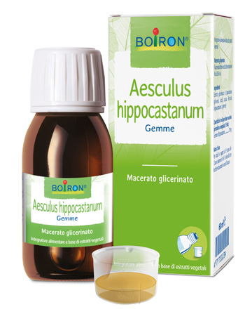 AESCULUS HIPP BOIRON MACERATO GLICERICO 60 ML - Farmadillo