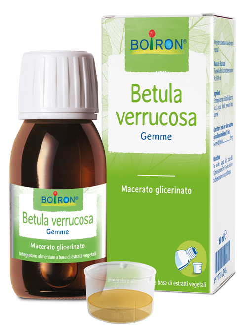 BETULA VERRUCO BOIRON MACERATO GLICERICO 60 ML - Farmadillo