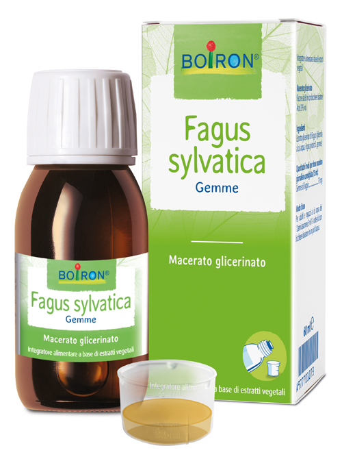 FAGUS SYLVATICA BOIRON MACERATO GLICERICO 60 ML - Farmadillo