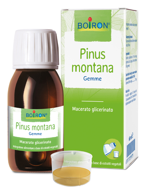 PINUS MONTANA BOIRON MACERATO GLICERICO 60 ML - Farmadillo