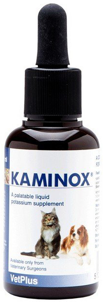 KAMINOX SCIROPPO 60 ML - Farmadillo