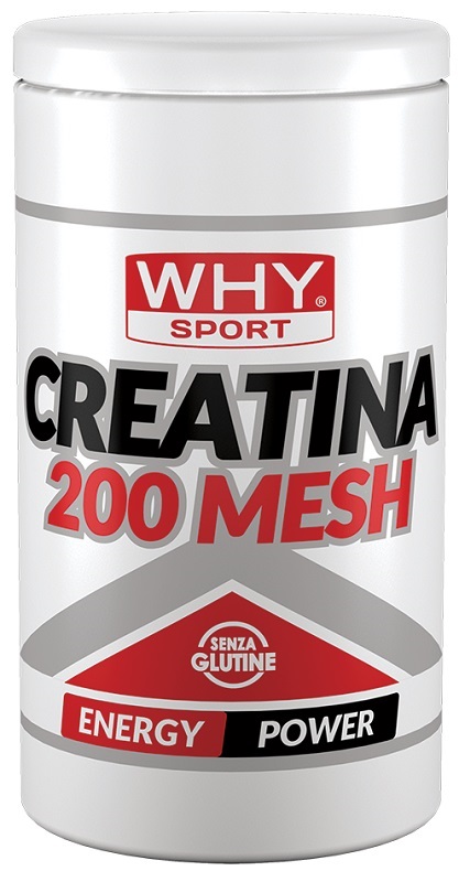 WHYSPORT CREATINA 200 MESH 500 G - Farmadillo