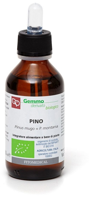 PINO MACERATO GLICERICO 100 ML BIO - Farmadillo