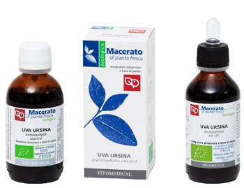 UVA URSINA TINTURA MADRE 100 ML BIO - Farmadillo
