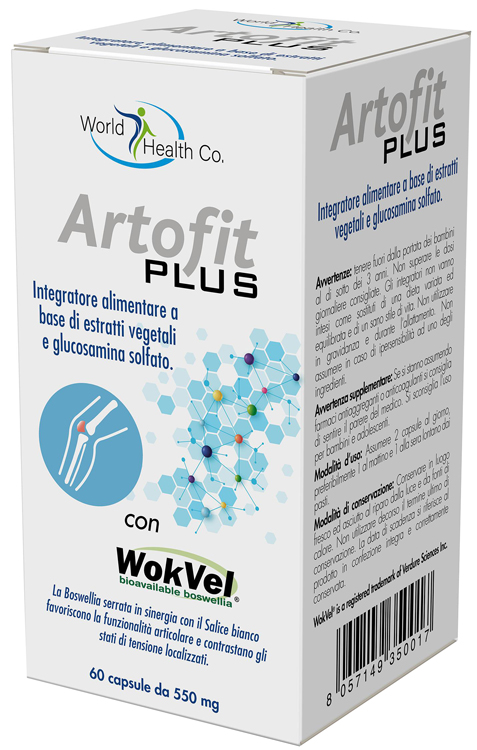 ARTOFIT PLUS 60 CAPSULE - Farmadillo